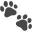 Paw Prints