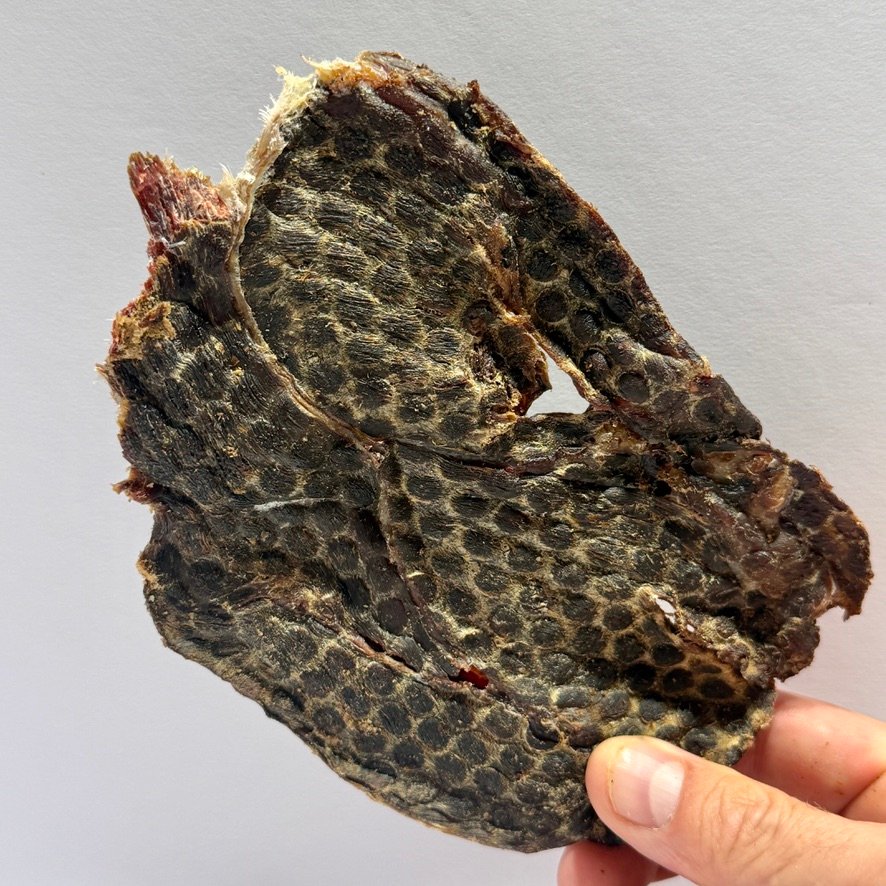 B69F2C63-E528-49D1-B024-689CB6C76090_1_105_c