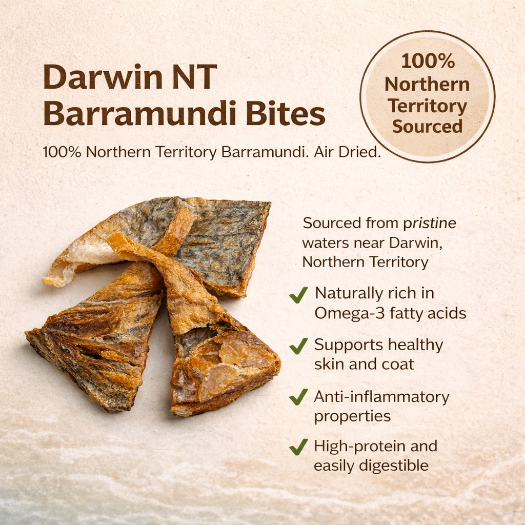 ChatGPT Image Feb 22, 2026, 08_55_42 AM