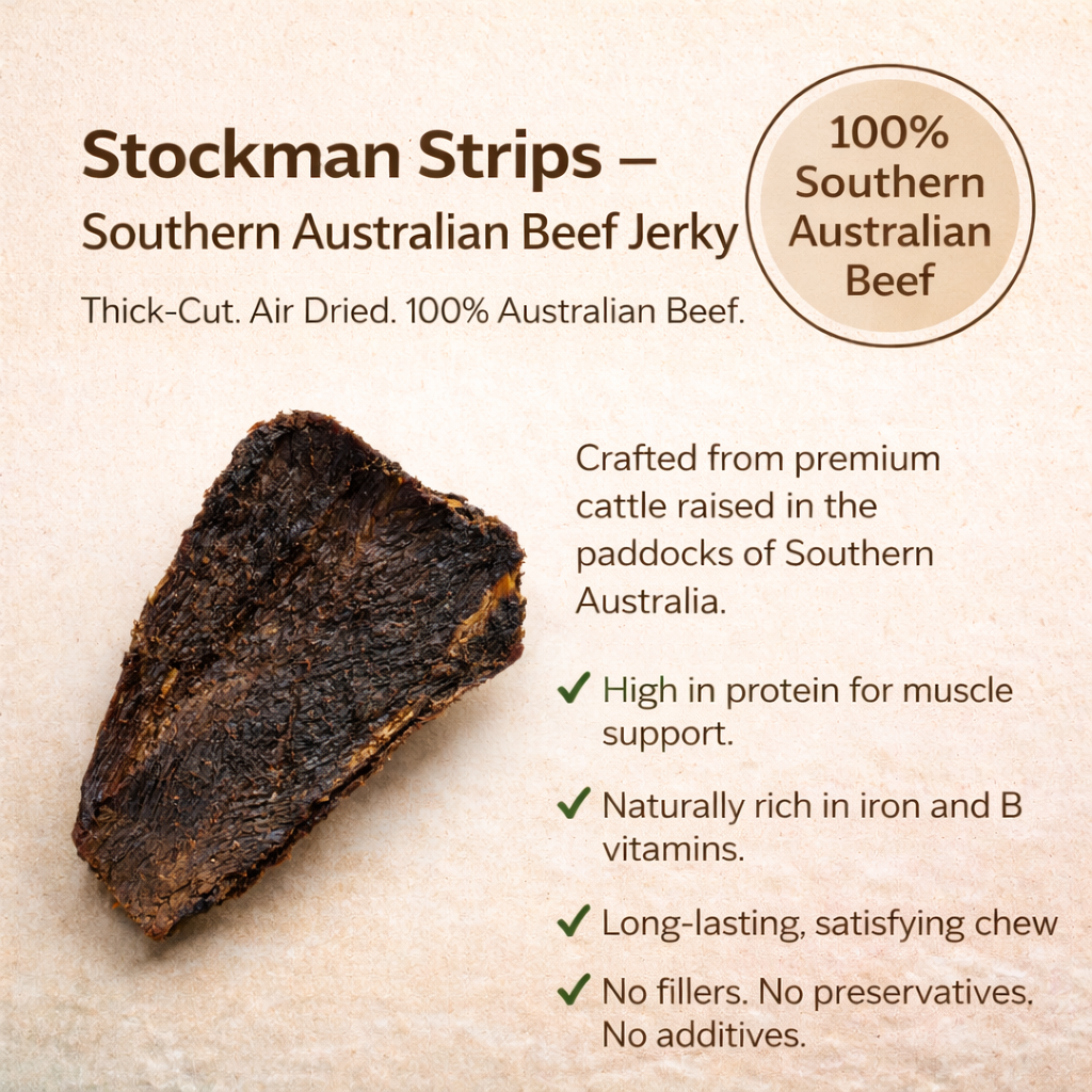 ChatGPT Image Feb 22, 2026, 09_01_04 AM